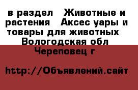  в раздел : Животные и растения » Аксесcуары и товары для животных . Вологодская обл.,Череповец г.